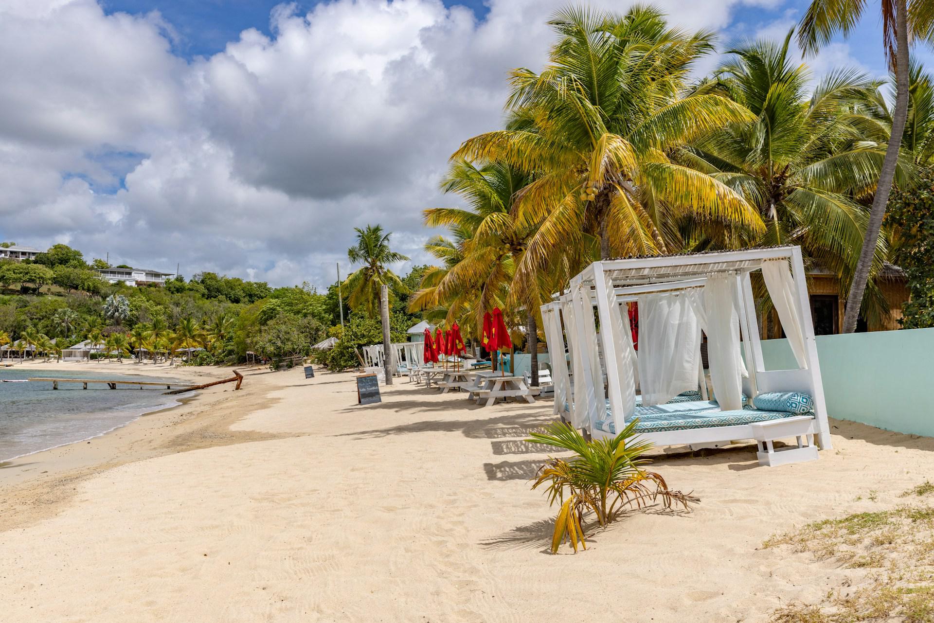 Beach cabanas and palm trees beside the sea in Antigua and Barbuda