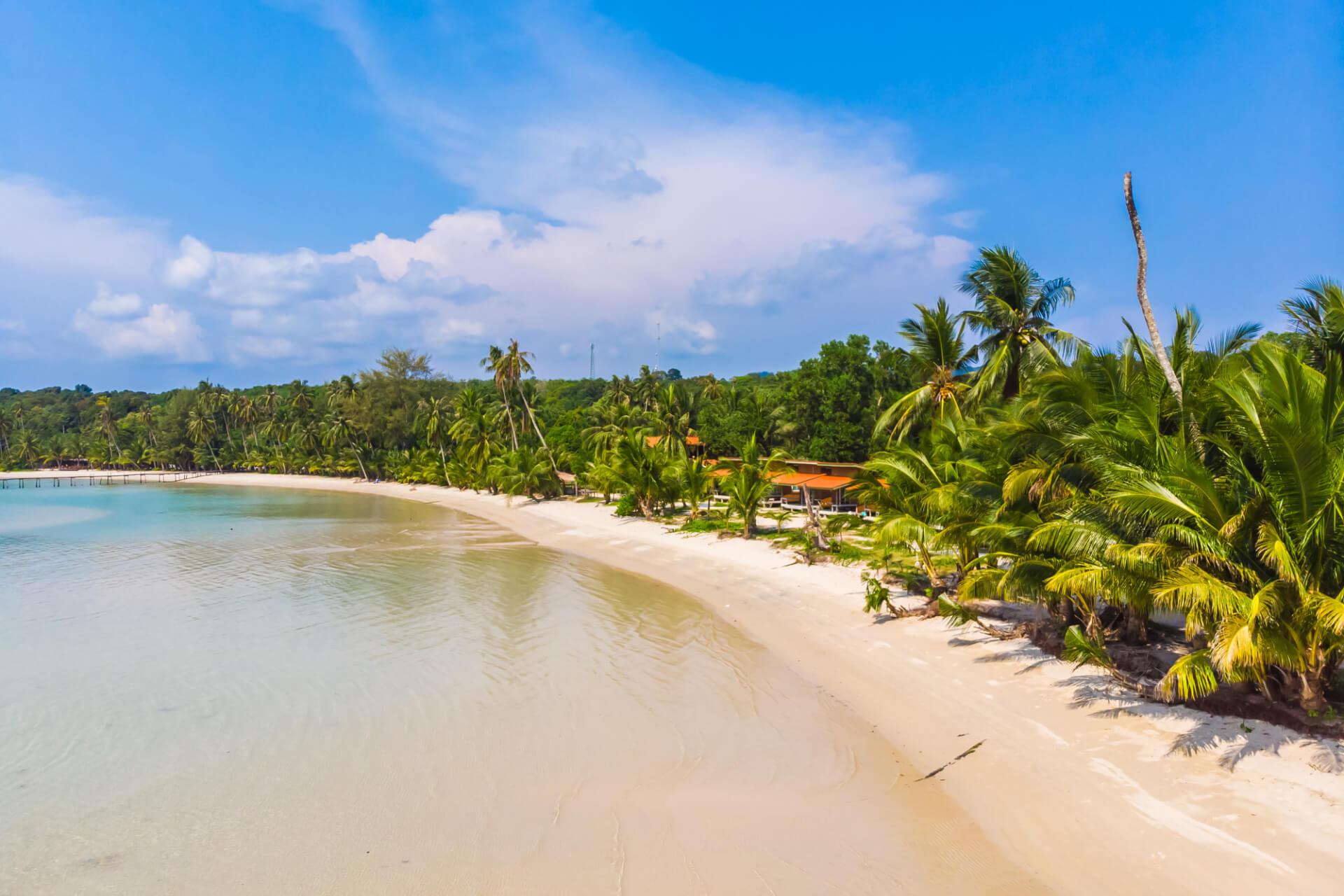 Beautiful nature tropical beach and sea, Vanuatu