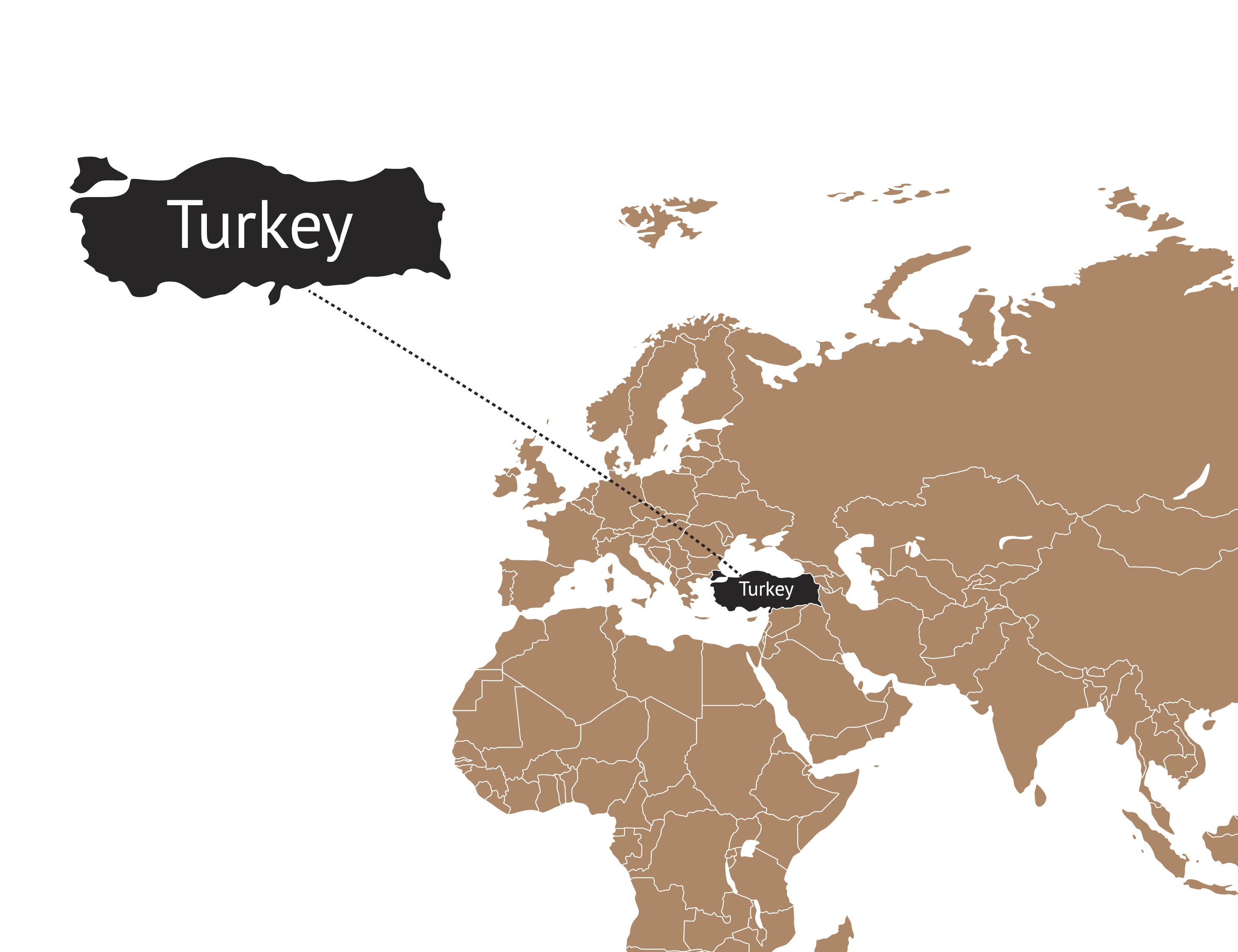 Turkey Citizenship
