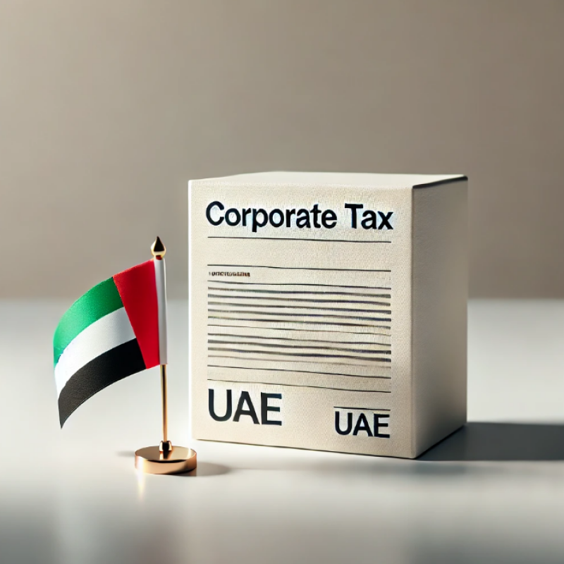 UAE Corporate Tax 2025 – What Businesses Need to Know