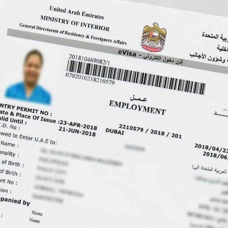 Investor Visa vs Employment Visa in the UAE – Which Is Right for You?