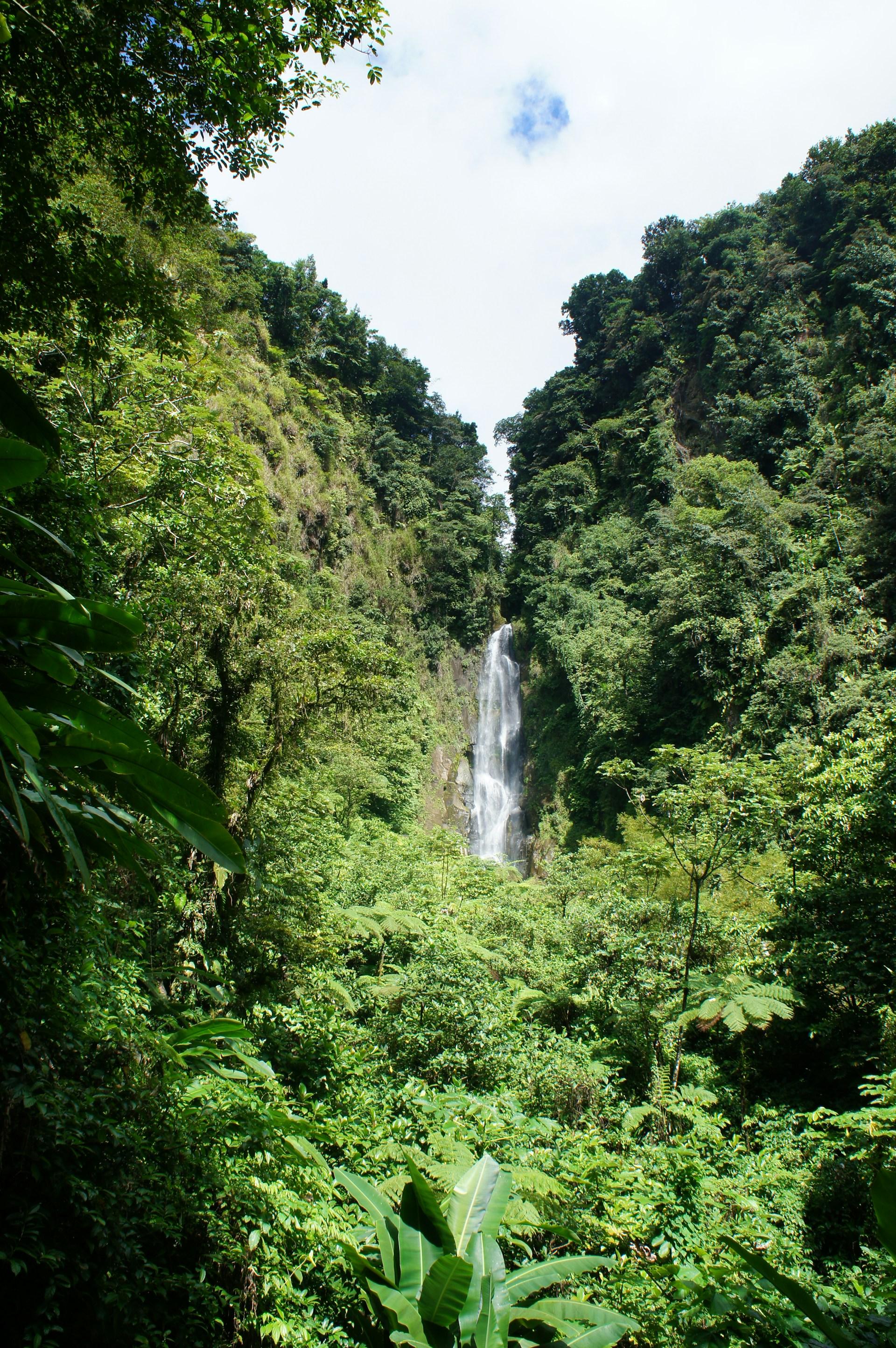 Waterfall surrounded by lush rainforest on the Caribbean island of Dominica