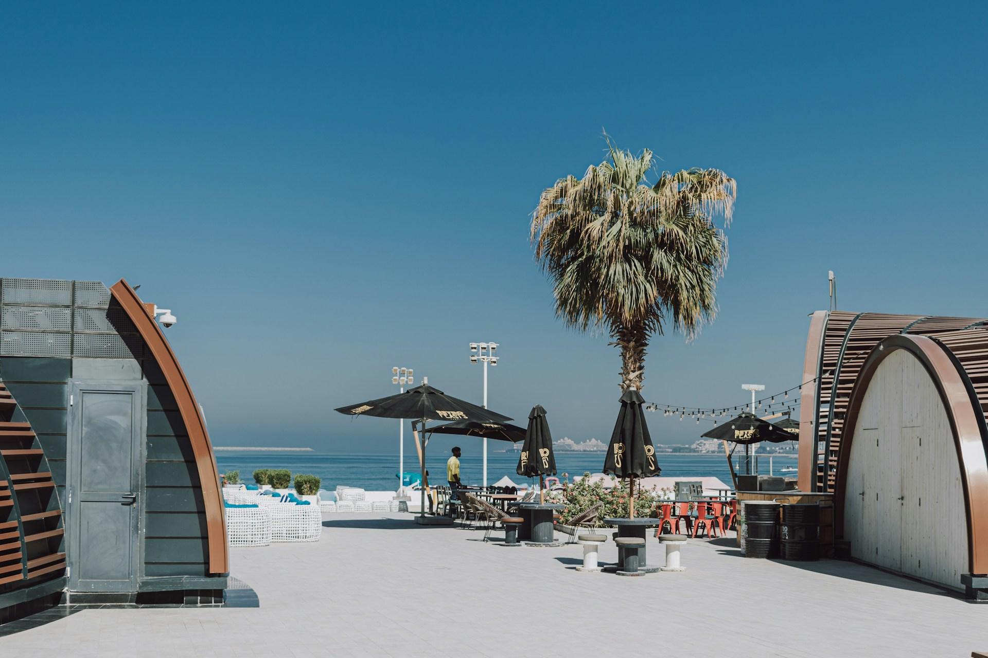 Palm tree and beachfront seating area overlooking the sea in Dubai